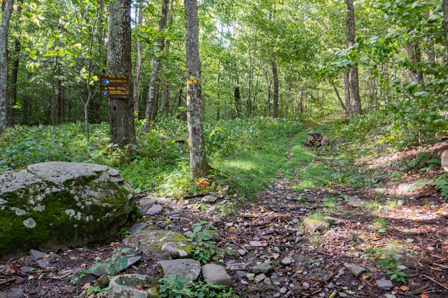 The pass of the old Silver Hollow Road  