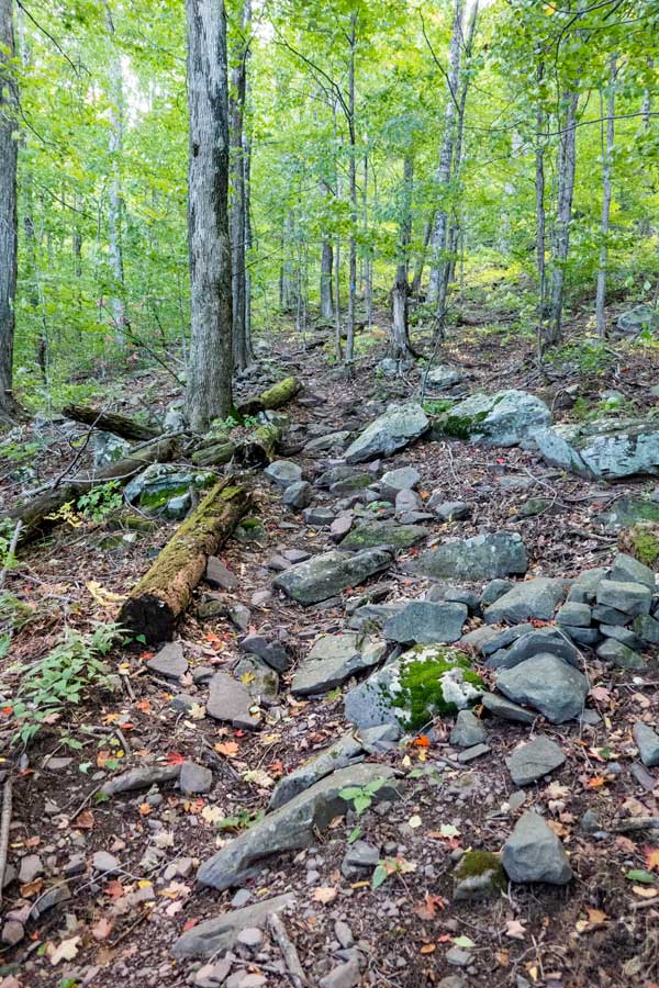 rocky section of the warner creek trail 