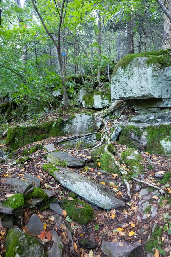 first ledge on the warner creek trail 