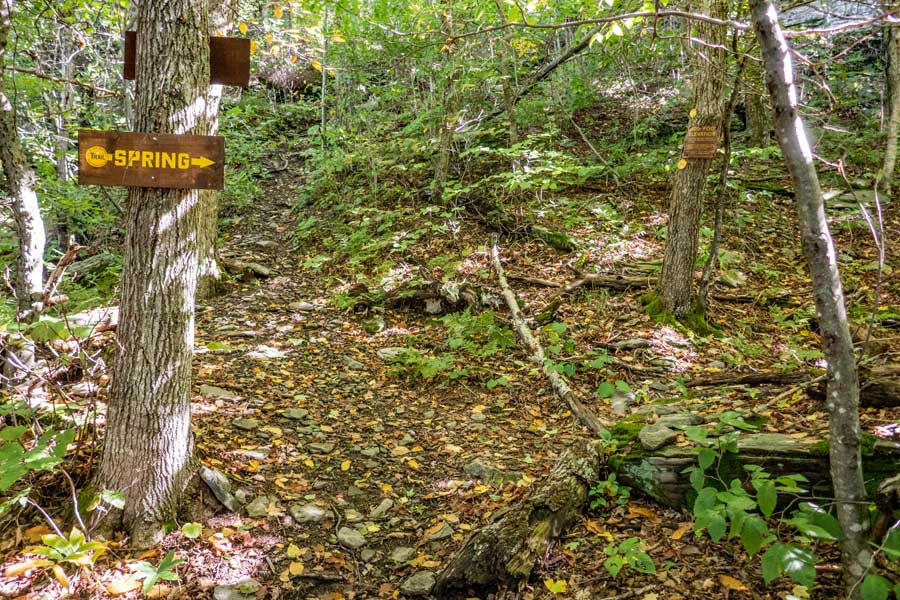trail to spring on Plateau Mountain and the Spring