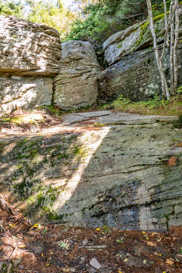below Orchard Point on Plateau Mountain 