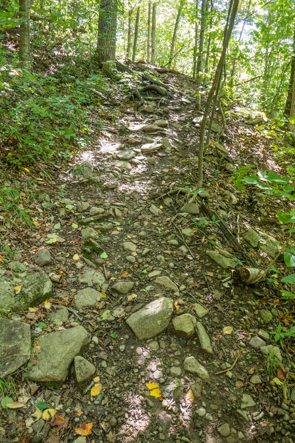 getting near notch lake on the devil's path 