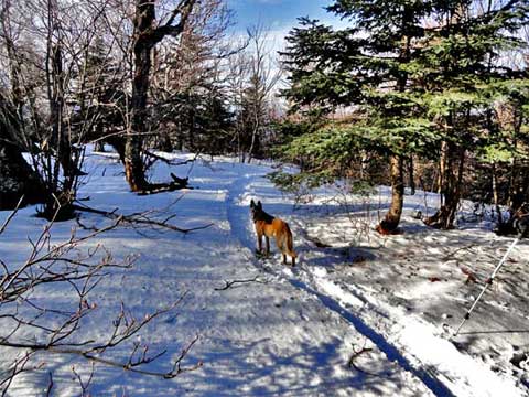 climb up to Roundtop Mountains kaaterskill