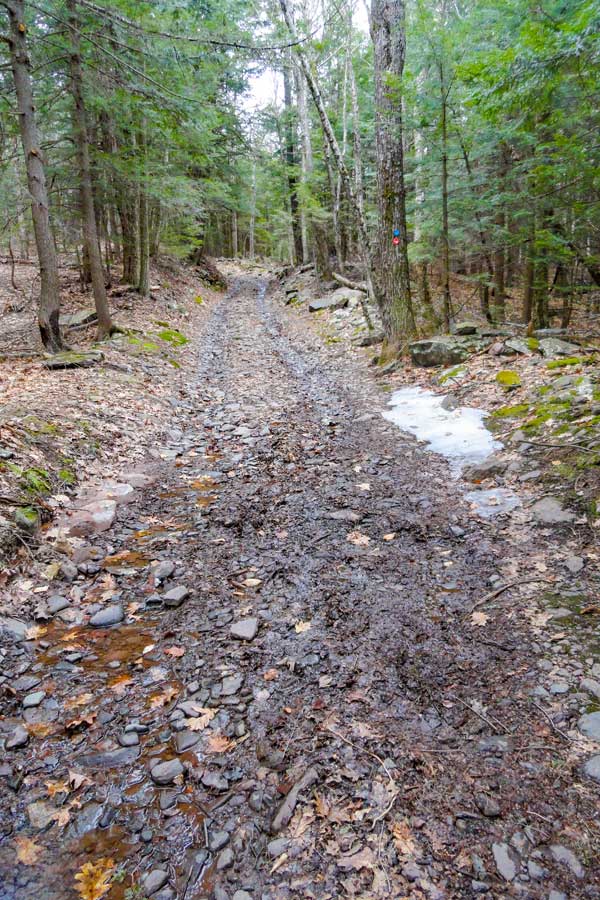 Kaaterskill High Peak