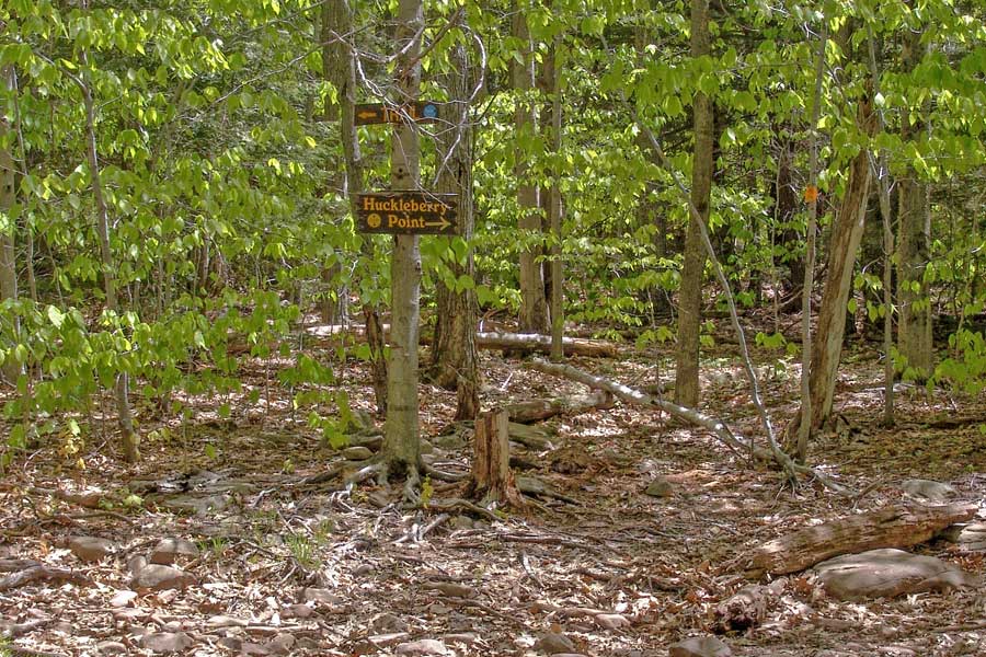 trail junction for Huckleberry Point on the trail to Kaaterskill High Peak