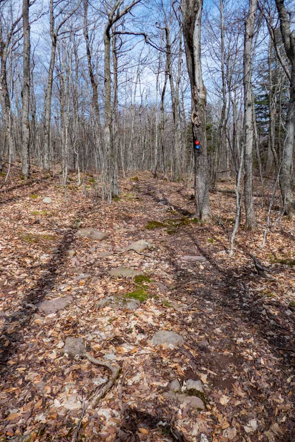 approaching the top of the Kaaterskill Amphitheater