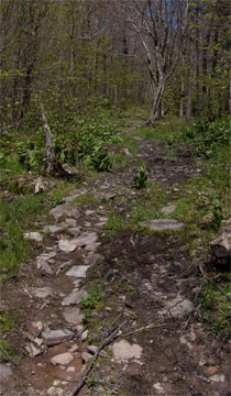 Kaaterskill High Peak