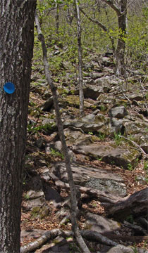 south access route to Kaaterskill High Peak summit