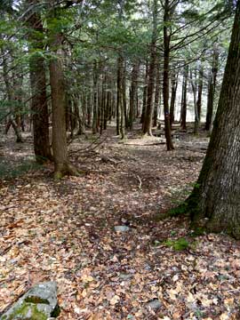 trail to KHP