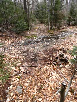 intersection of LP and old indian path on Kaaterskill Mountain