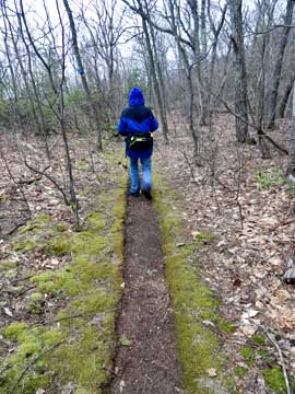 trail to poet's ledge