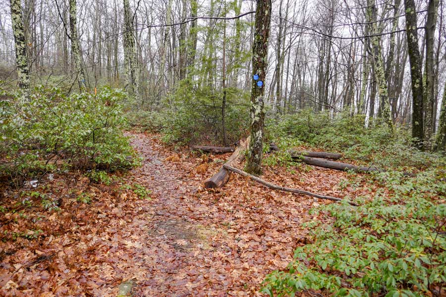 side trail to Ticetonyk Mountain summit from Ticetonyk View Point