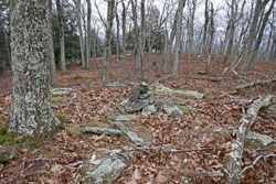 mount tobias