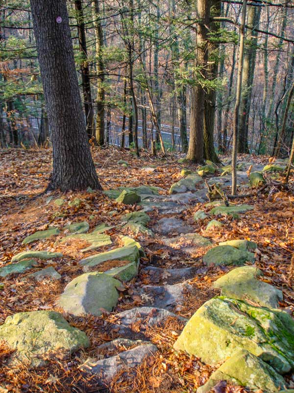 Stone steps from Rt 40 to Tremper Mtn