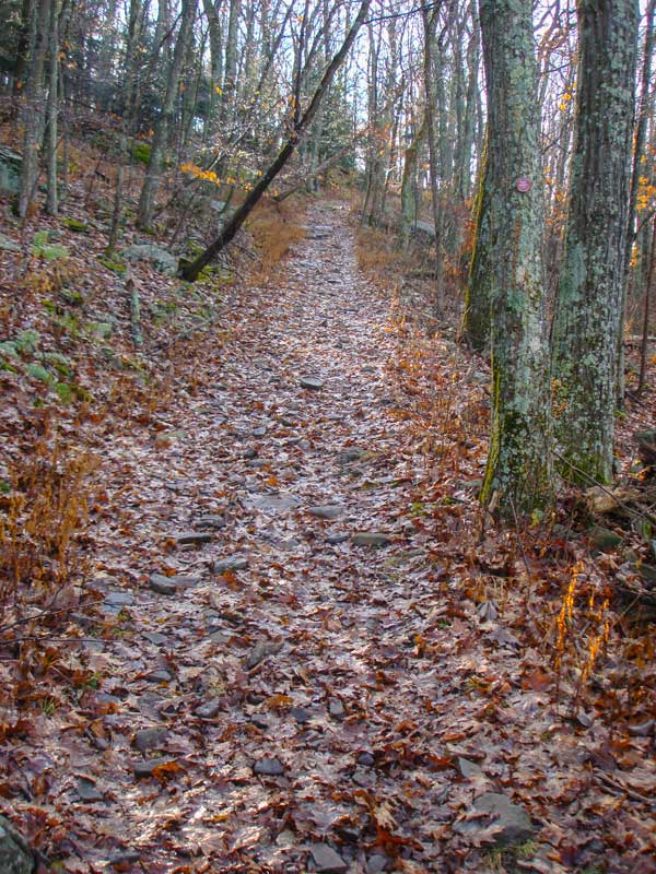 Warner Creek Trail
