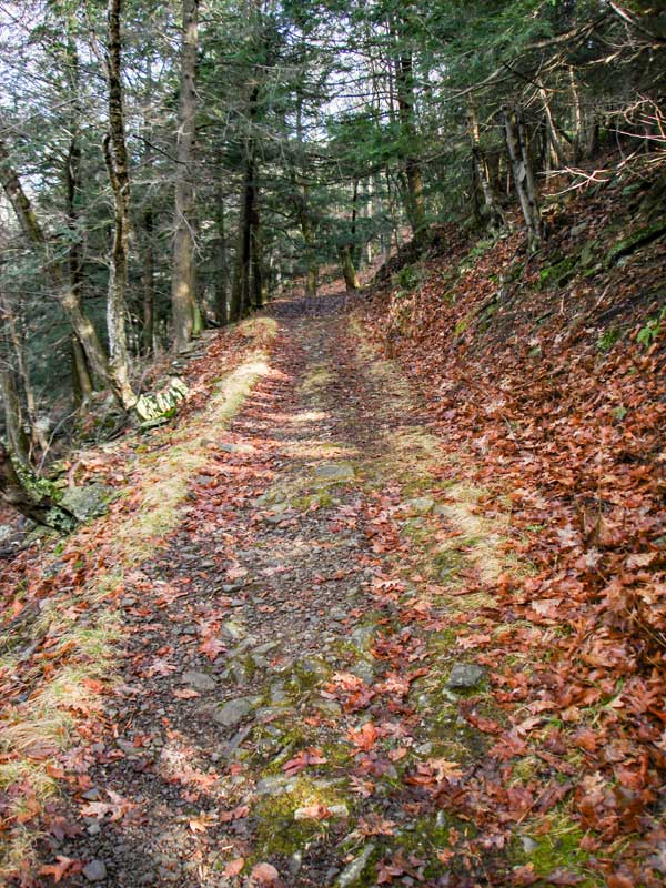 Phoenicia Trail