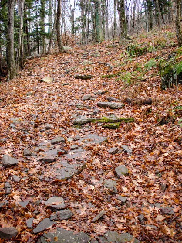 Phoenicia Trail