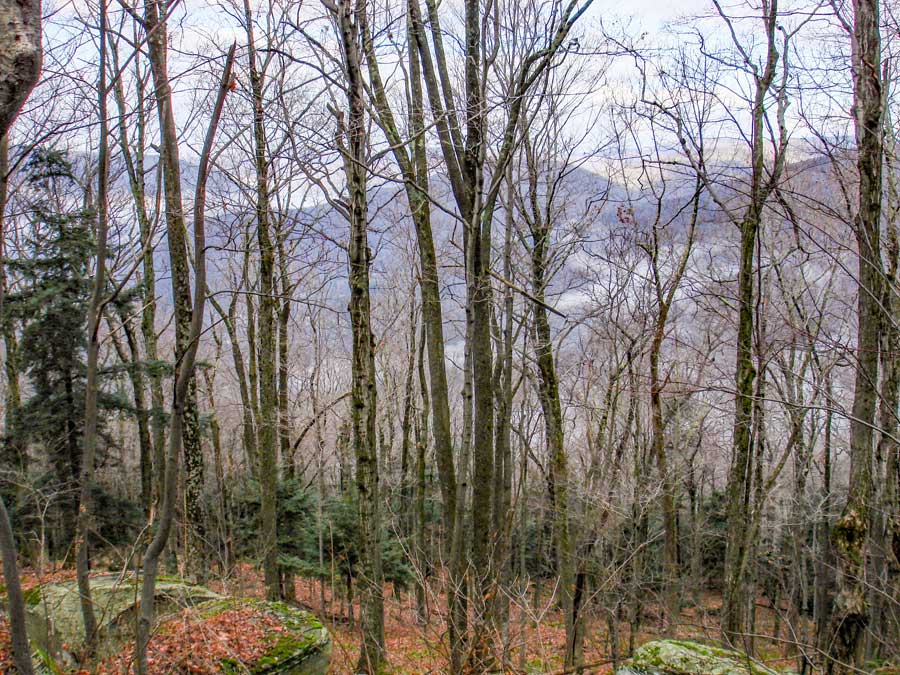 Warner Creek Trail