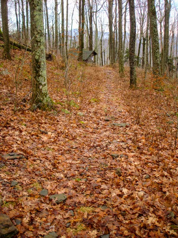 side trail to the Baldwin Memorial Lean-To