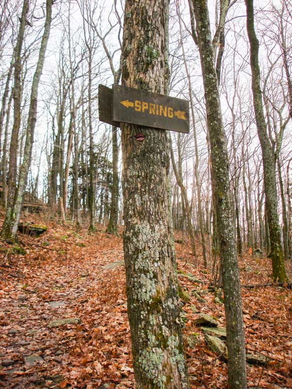 sign for the Spring off the Phoenicia Trail