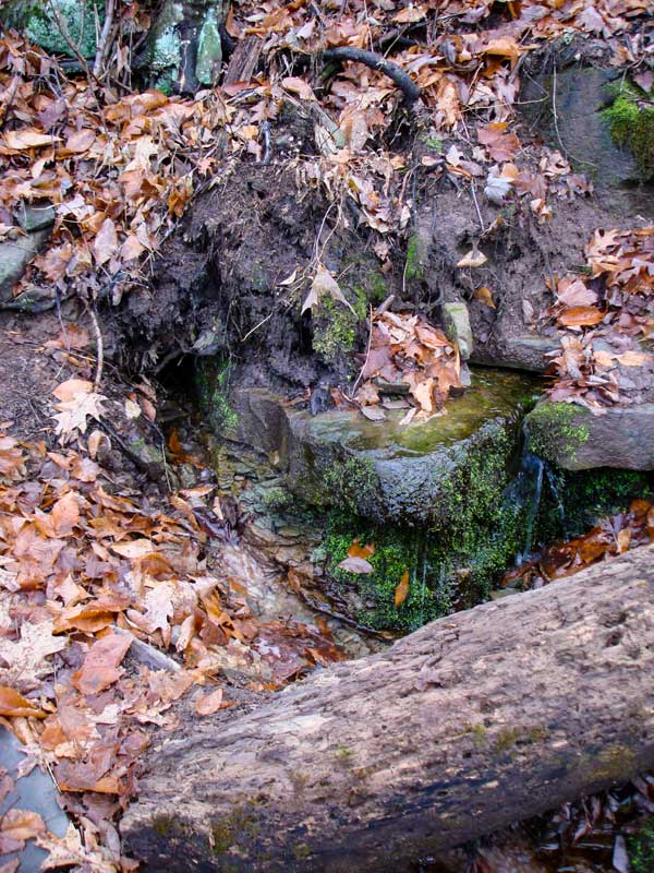 Spring off the Phoenicia Trail