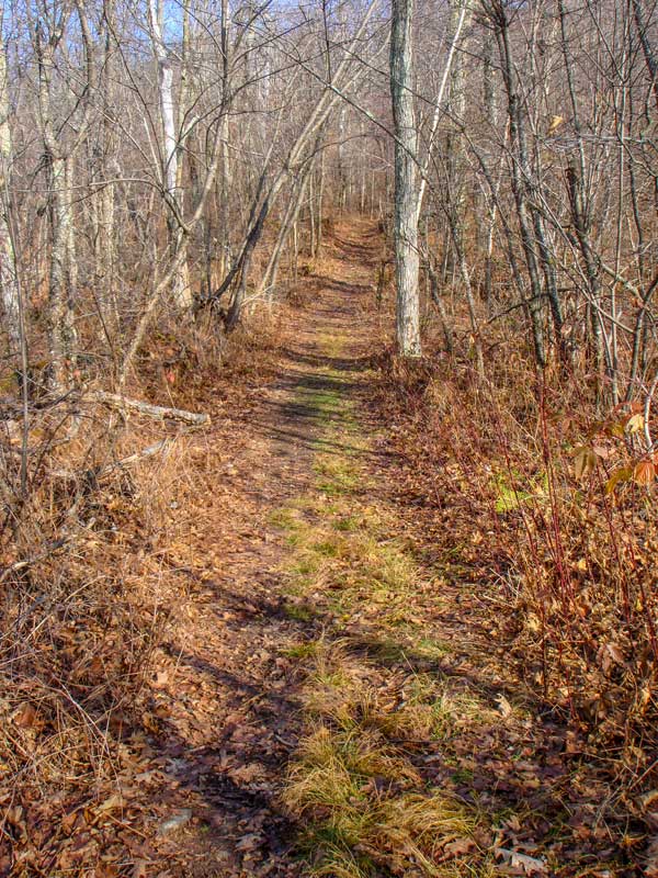 approaching the Mt Tremper Fire Tower