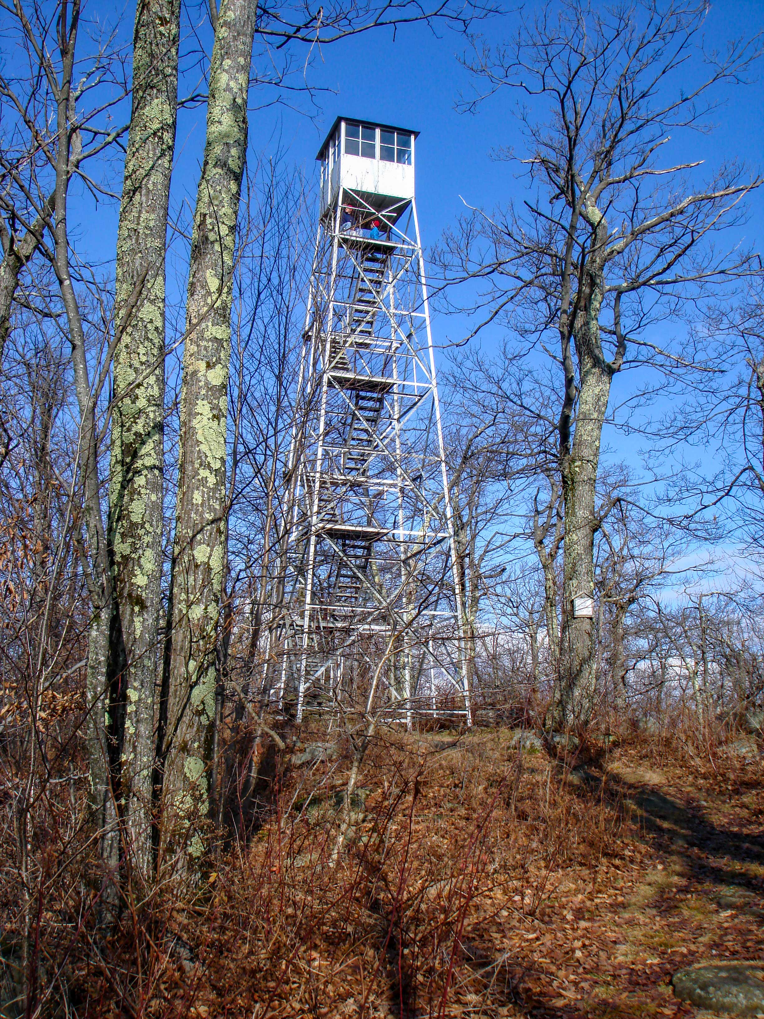 Warner Creek Trail