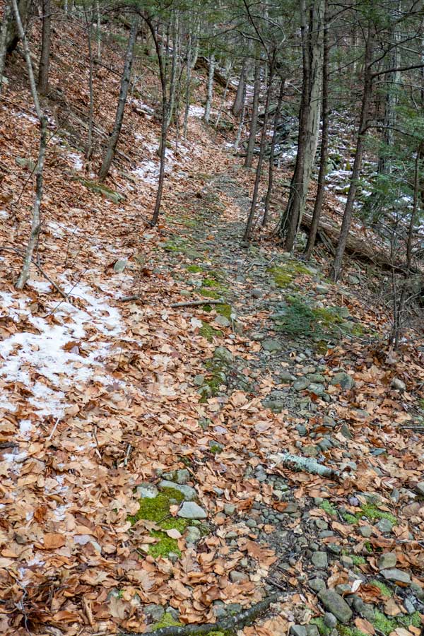 switch-backs on the Warner Creek Trail