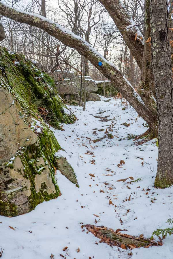 Summit of Edgewood Mountain