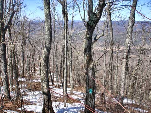view from the top of huntersfield mountain