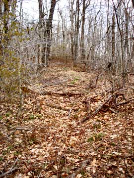 richmond mountain