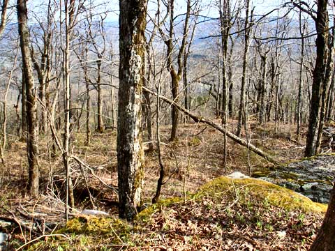 richmond mountain