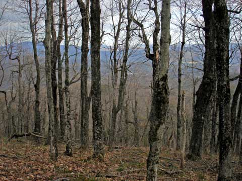 richmond mountain
