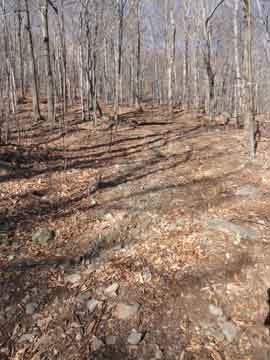 trail to balsam cap mountain and friday mountain