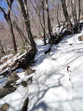 Rim Trail up to Friday mountain and balsam cap mountain