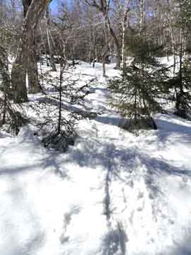 whale rock to rim ledge on friday mountain