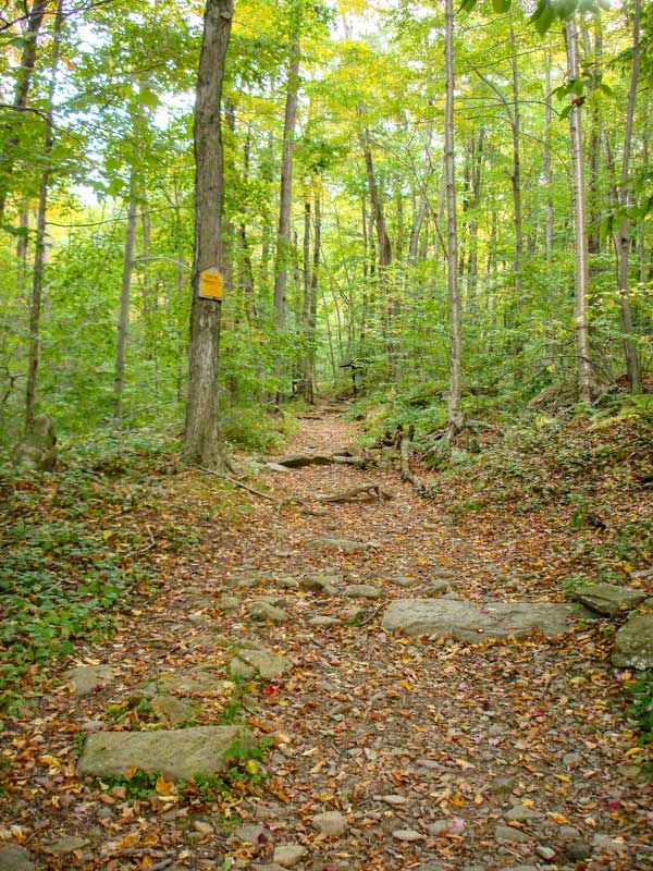 Giant Ledge Panther Mountain