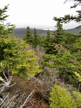 southeast view point on rocky mountain