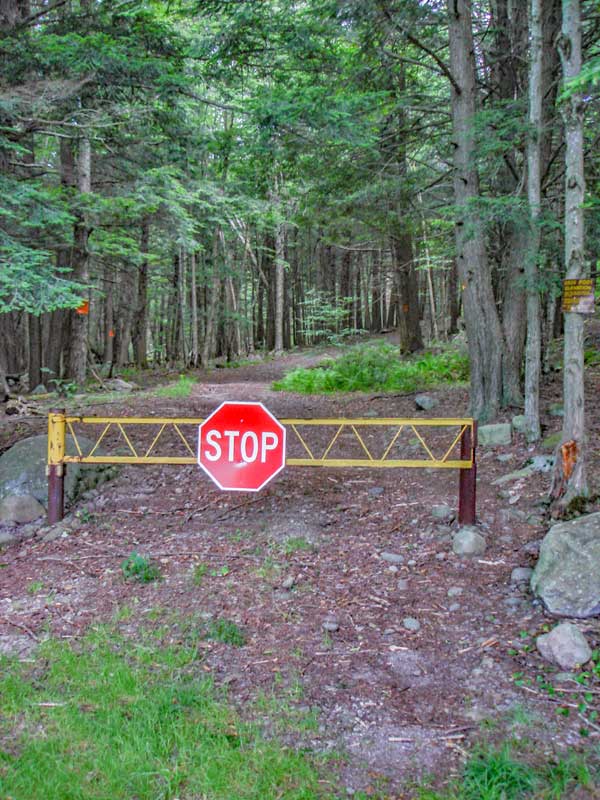 beginning of the trail to table and peekamoose mountain