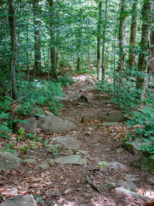 peekamoose mountain