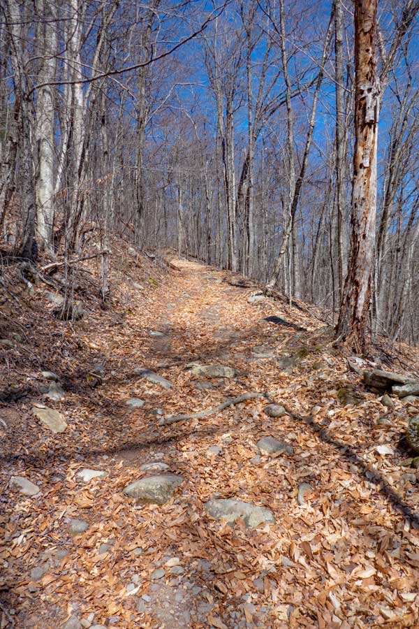 the beginning of the Peekamoose Table Trail