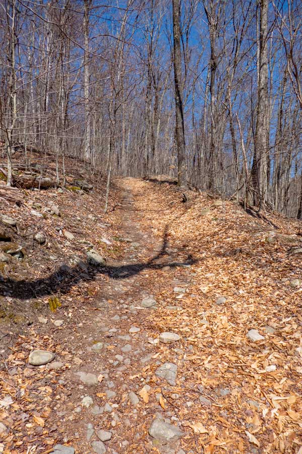 the beginning of the Peekamoose Table Trail