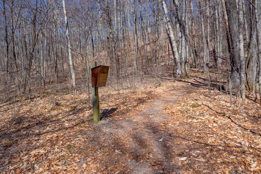 DEC Registration Box for the hike from Peekamoose Valley to the summit of Peekamoose Mountain on the Peekamoose Table Trail