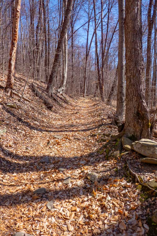 lower part of the Peekamoose Table Trail