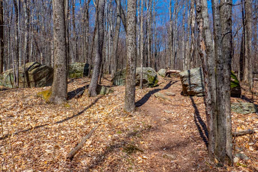 glacier erratic on the Peekamoose Table Trail in the Catskill Mountains