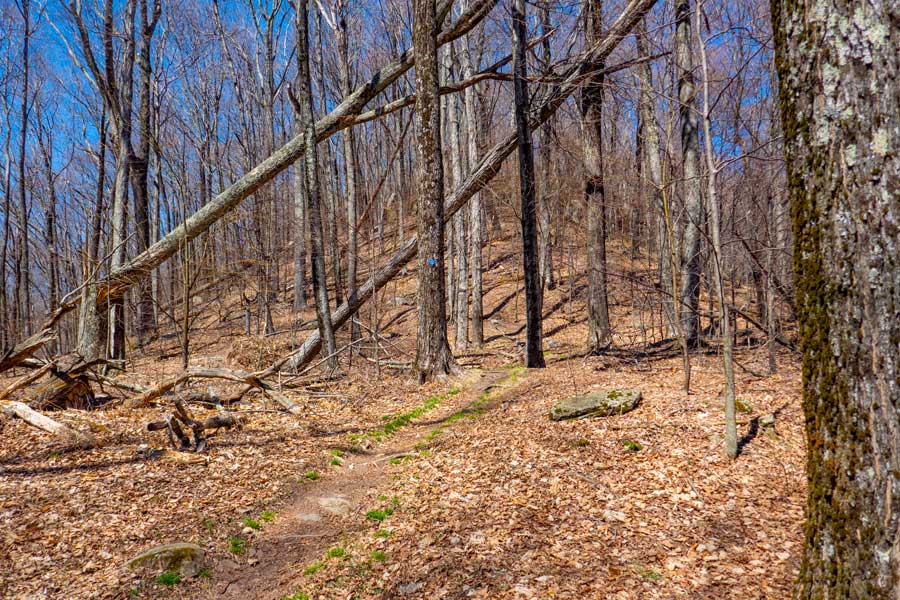 Steep ridge line on the hike up to the summit of Peekamoose Mountain