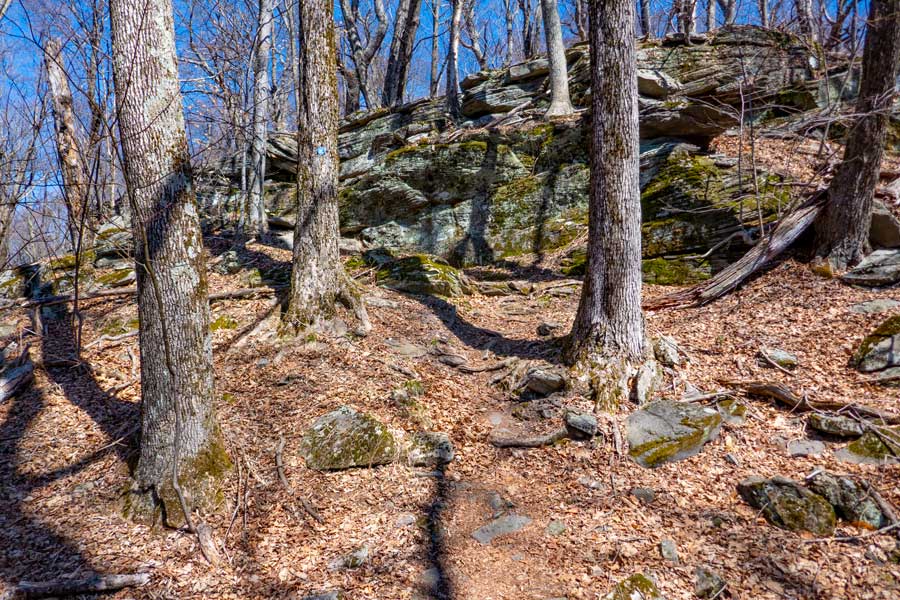 ledge rock you need to climb on the ridge line section of the Peekamoose Table Trail