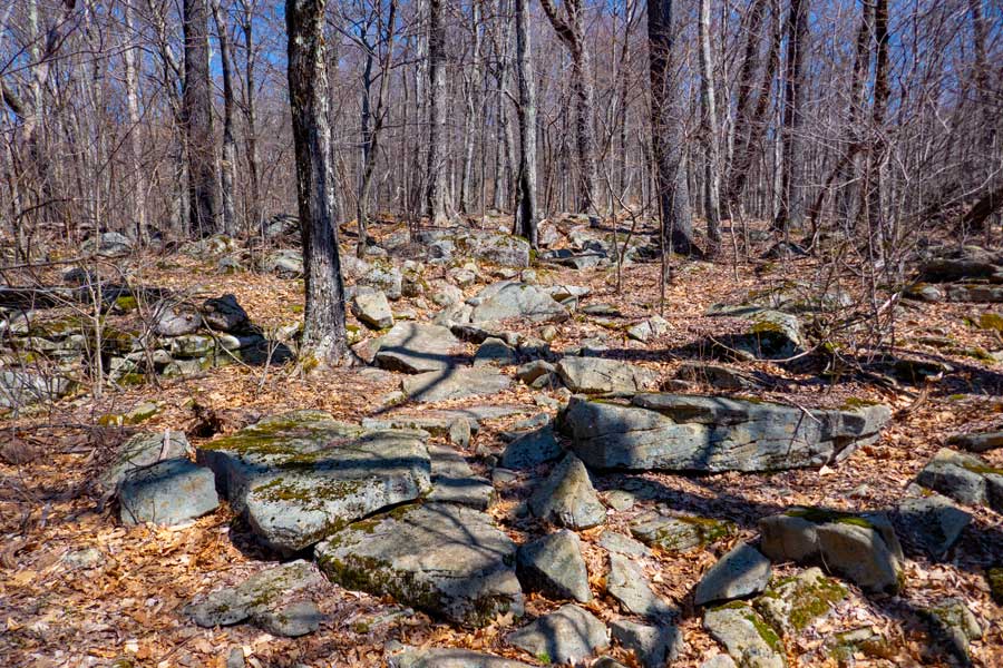 rock sections along the ridge line of the Peekamoose Table Trail