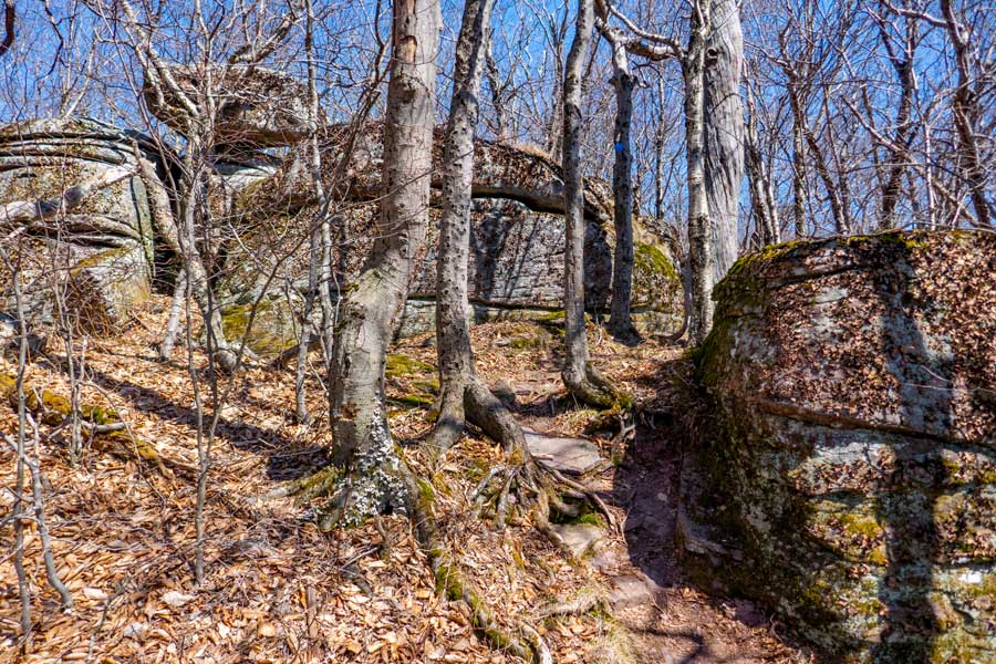 Reconnoiter Rock on the Peekamoose Table Trail