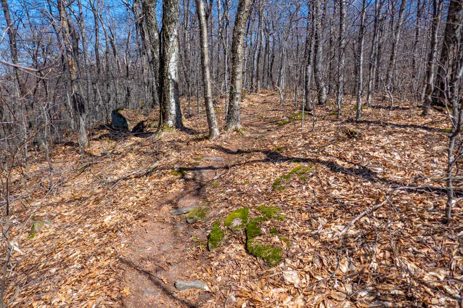 view of Van Wyck and Table Mountain from the Peekamoose Table Trail